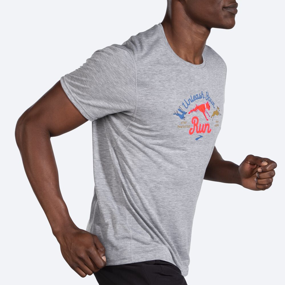 Camiseta Brooks Distance Estampadas Short Sleeve Hombre Gris | CR57039