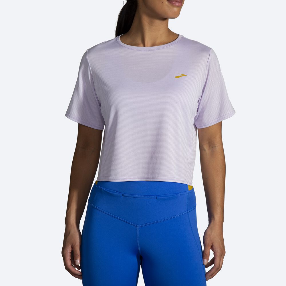 Camiseta Brooks Run Within Crop Tee Mujer Moradas Gris Rayadas | CR47208