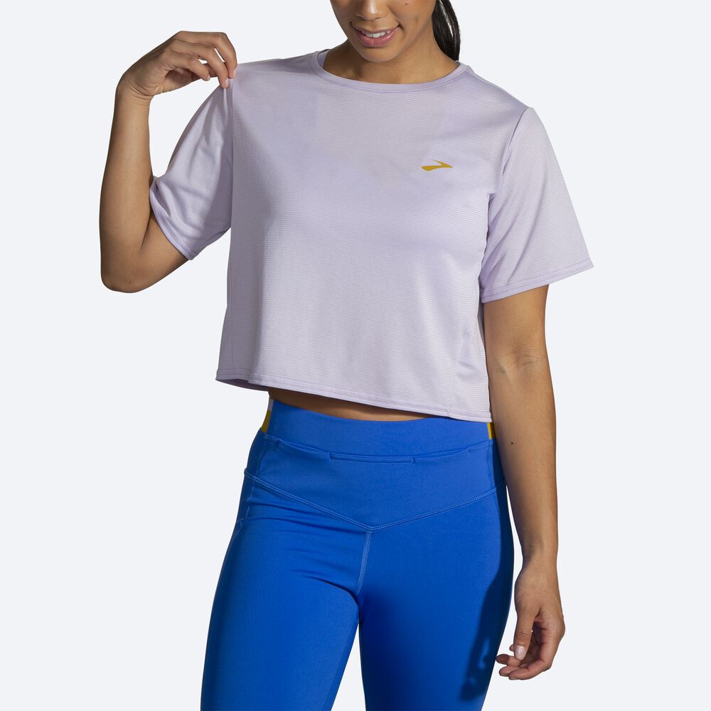 Camiseta Brooks Run Within Crop Tee Mujer Moradas Gris Rayadas | CR47208