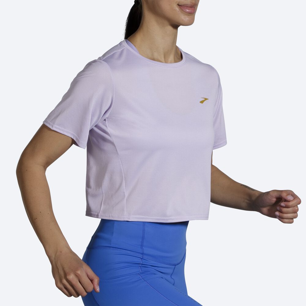 Camiseta Brooks Run Within Crop Tee Mujer Moradas Gris Rayadas | CR47208