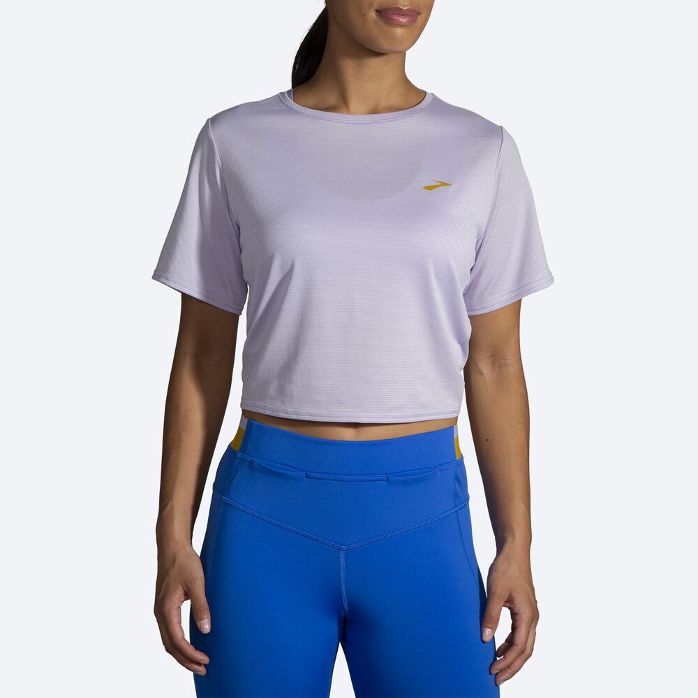 Camiseta Brooks Run Within Crop Tee Mujer Moradas Gris Rayadas | CR47208