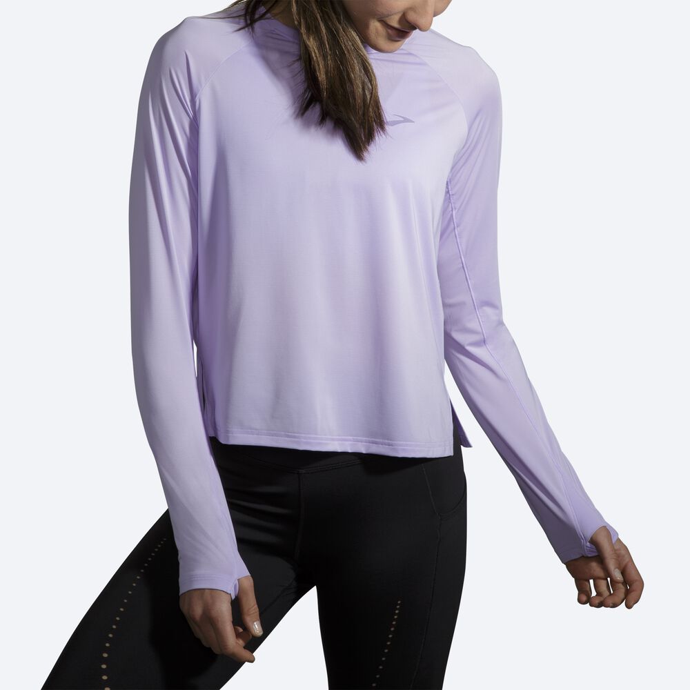 Camiseta Brooks Sprint Free Long Sleeve Mujer Moradas Gris | CR89156