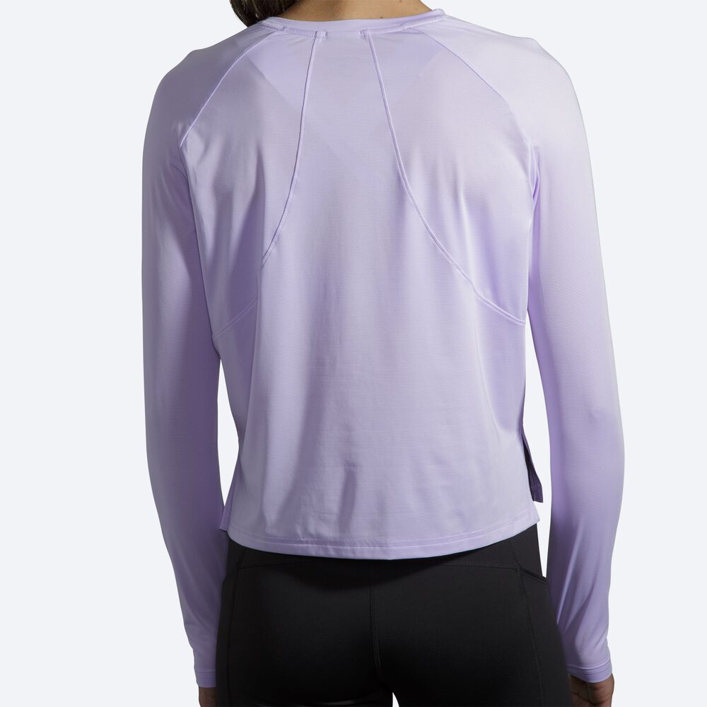 Camiseta Brooks Sprint Free Long Sleeve Mujer Moradas Gris | CR89156