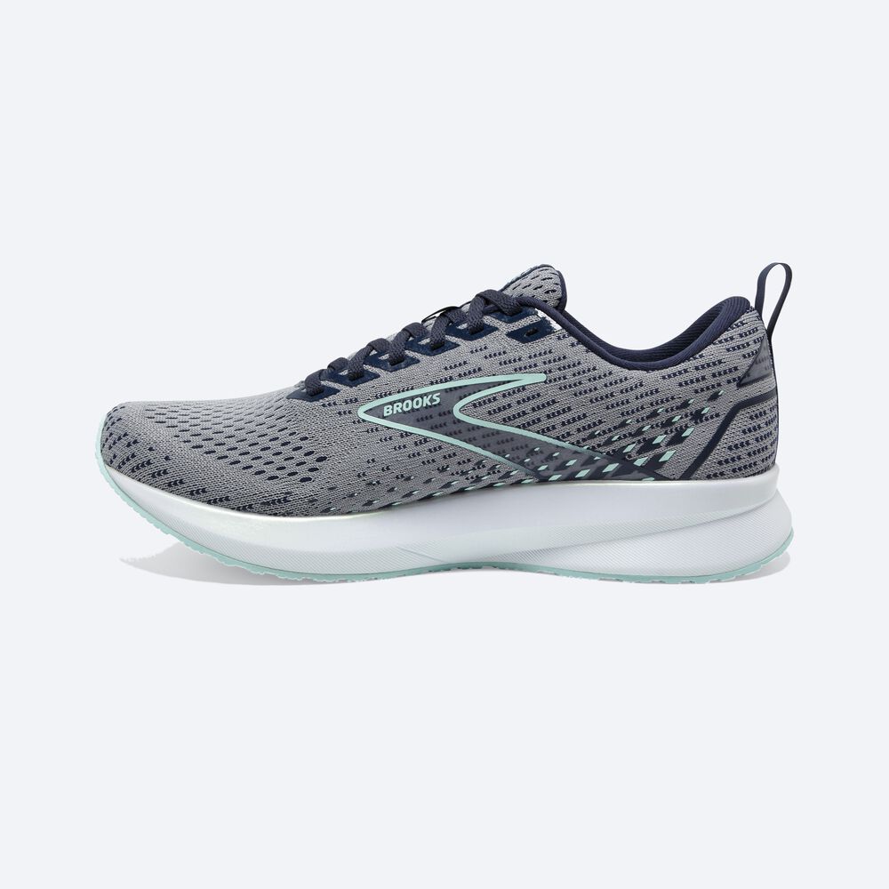 Zapatillas Running Brooks Levitate 5 Mujer Gris/Azul Marino/Azules | CR32048