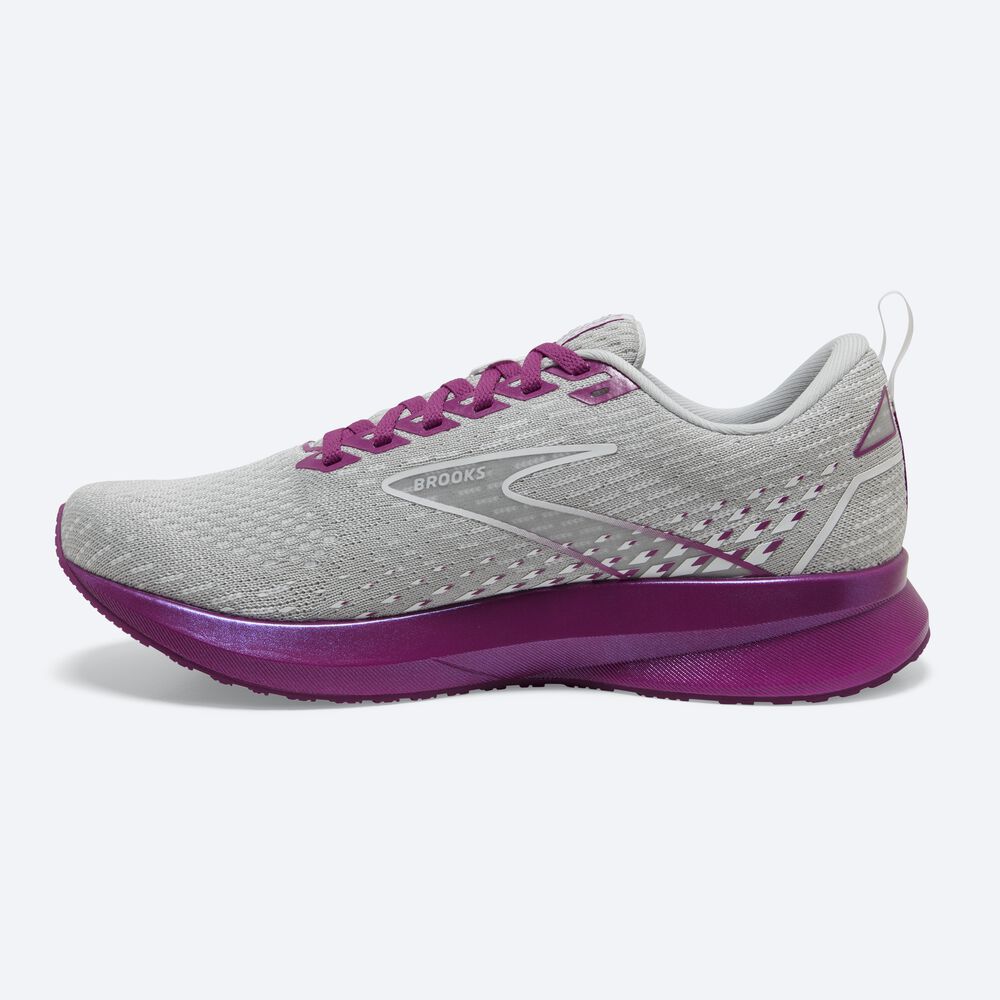 Zapatillas Running Brooks Levitate 5 Mujer Gris/Lavanda | CR52014