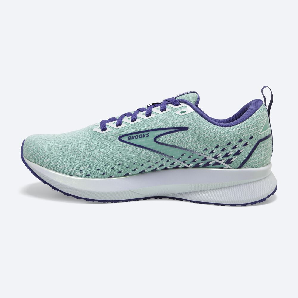 Zapatillas Running Brooks Levitate 5 Mujer Verde/Azul Marino Azules/Blancas | CR83941