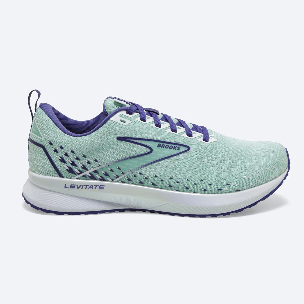 Zapatillas Running Brooks Levitate 5 Mujer Verde/Azul Marino Azules/Blancas | CR83941