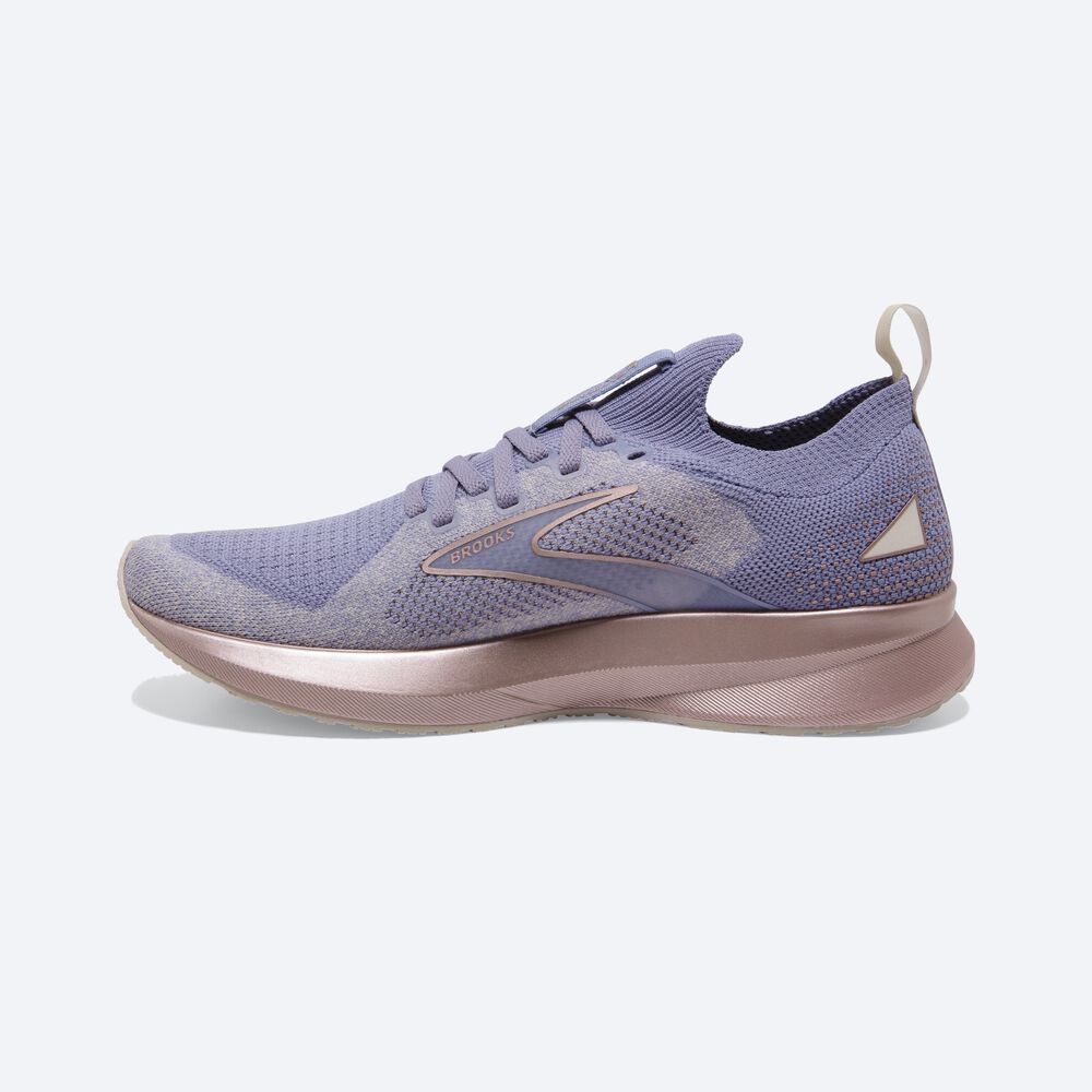 Zapatillas Running Brooks Levitate StealthFit 5 Mujer Plateadas/Rosas | CR49250