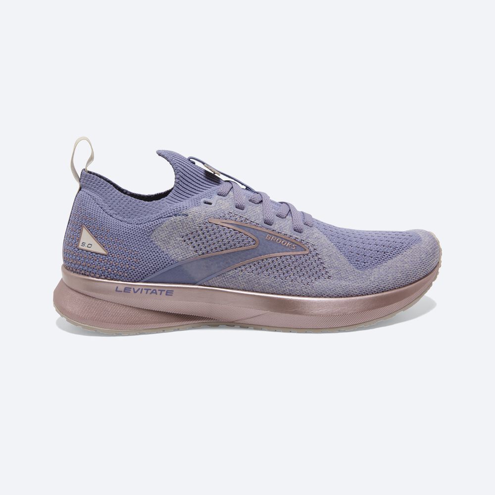 Zapatillas Running Brooks Levitate StealthFit 5 Mujer Plateadas/Rosas | CR49250